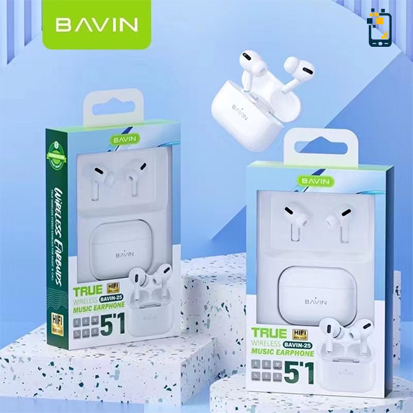 BAVIN 25